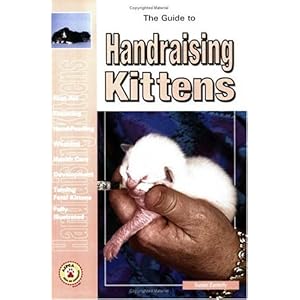 The Guide to Handraising Kittens