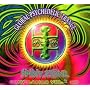 Global Psychedelic Trance V
