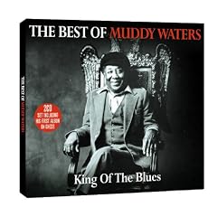 The Best Of Muddy Waters [Edizione: Francia] [Import]