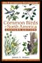Common Birds of America: An Expanded Guidebook