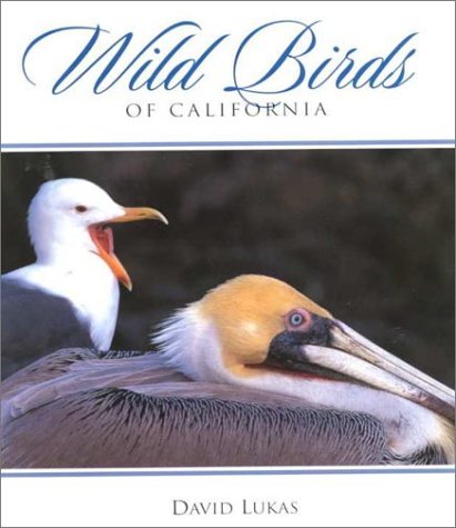 City Travel Guides Discounted  Books : Wild Birds of California