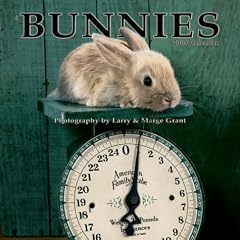 Bunnies Mini Wall Calendar 2005