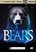 Bears