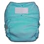 Thirsties Fab Fitted Cloth Diaper - Aqua, Medium