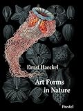 Art Forms in Nature Mini (Prestel Minis)