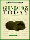 Guinea Pigs Today