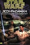 Star Wars. Jedi Padawan 03. Die gestohlene Vergangenheit.