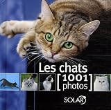 Les chats : 1001 Photos