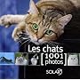 Les chats : 1001 Photos