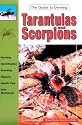Tarantulas and Scorpions