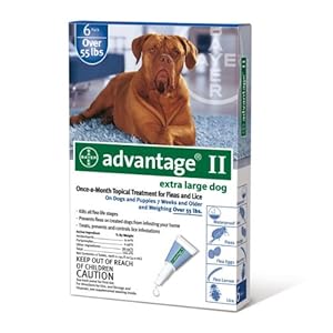 Bayer Advantage II, Extra Large Dogs, Over 55-Pound, 6-Month