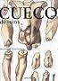 Cueco dessins