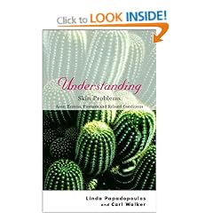 Understanding Skin Problems: Acne, Eczema, Psoriasis and Related Conditions (Understanding Illness & Health)