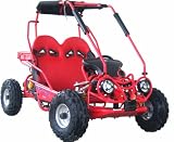 Kid Go-kart 90cc 2 Seater