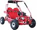 Kid Go-kart 90cc 2 Seater