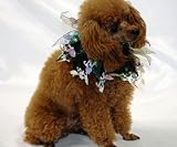 New Spooky Charming Pet Products Holiday Party Collar Halloween Ghosts Elastic Band for dogs and cats -Medium fits up to 12 inches