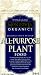 All Purpose Plant Food