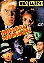 Bowery at Midnight