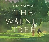 Story of the Walnut Tree