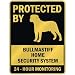 PROTECTED BY  BULLMASTIFF HOME SECURITY SYSTEM  PARKING SIGN DOG
