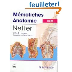 M�mofiches Anatomie Netter : Tronc