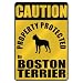 boston_terrier33boston terrier - CAUTION PROPERTY PROTECTED BY BOSTON TERRIER PARKING SIGN