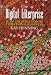 The Digital Enterprise: How Digital Technology Is Redefining Business (Century Business)