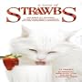 Taste of Strawbs