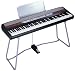Korg SP250 Digital Piano (Black)