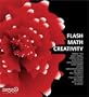 Flash Math Creativity