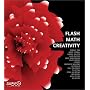 Flash Math Creativity David Hirmes