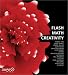 Books : Flash Math Creativity