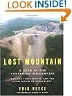 Lost Mountain: A Year in the Vanishing Wilderness: Radical Strip Mining and the Devastation of Appalachia