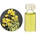 �����̖؁EHerbal Life ���A�o�����[EO.�E�C�j���� 1ml