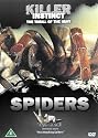 Killer Instinct - Spiders [2002] [DVD]