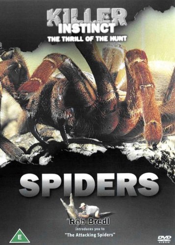 KILLER INSTICT : SPIDERS