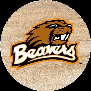 Thirstystone Natural Sandstone Set of 4 Coasters Oregon State University