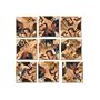 B Dazzle Lewis and Clark Scramble Squares 9 Piece Puzzle