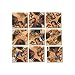 B Dazzle Lewis and Clark Scramble Squares 9 Piece Puzzle