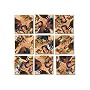 B Dazzle Lewis and Clark Scramble Squares 9 Piece Puzzle