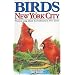 Birds of New York City: Including Western Long Island & Northeastern New Jersey (City Bird Guides)