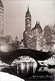 Central Park [PP-30017] [�|�X�^�[]