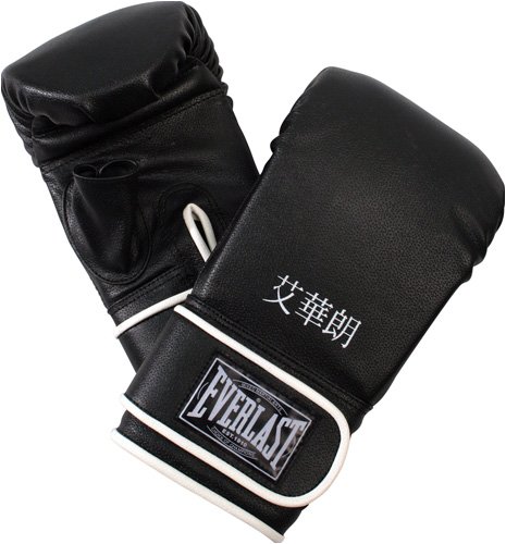 Everlast Pro Leather Hook-and-Loop Bag Gloves