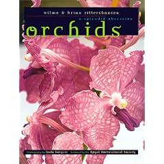 Orchids