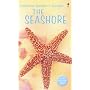 Seashore (Usborne Spotter's Guide)