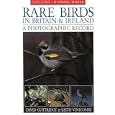 Rare Birds in Britain and Ireland: A Photographic Record (Collins Birding World) by David Cottridge and Keith Vinicombe