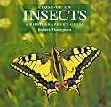Close-up on Insects: A Photographer's Guide