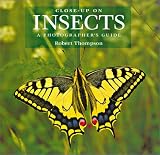 Close-up on Insects: A Photographer's Guide