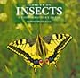 Close-Up on Insects: A Photographer's Guide