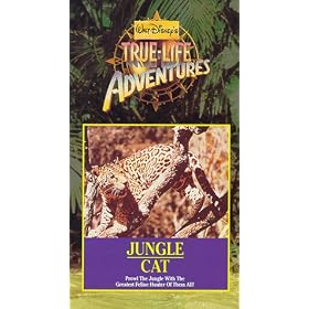 Buy Jungle Cat now!